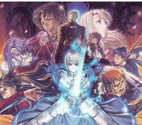 Fate cosplay costumes