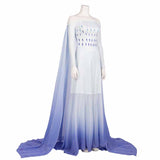 Elsa Cosplay Dress Costume