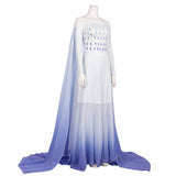Elsa Cosplay Dress Costume