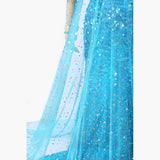 Frozen Elsa Princess dress costume cosplay custom