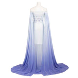 Elsa Cosplay Dress Costume